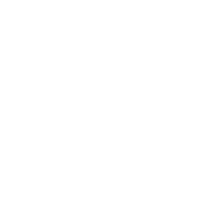 Professional Package Handling